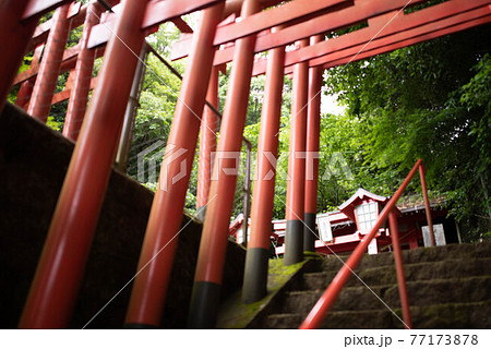 玖珠郡(九重町) 室園稲荷大明神 玖珠郡(九重町) 室園稲荷大明神 77173878