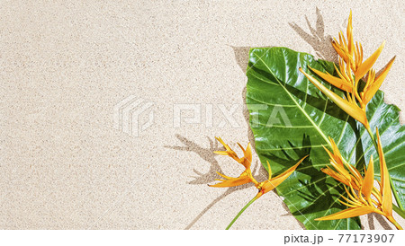Exotic orange tropical flower and large green leaf on sand background, copy space, top view Exotic orange tropical flower and large green leaf on sand background, copy space, top view 77173907