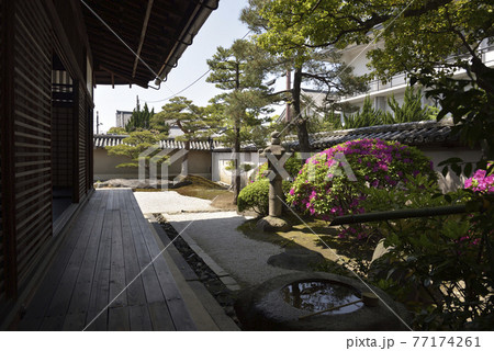 観智院　庭園 77174261