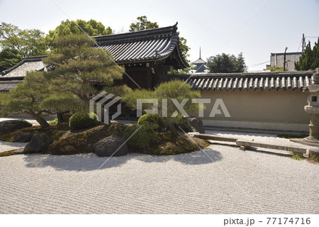 観智院 庭園 観智院 庭園 77174716