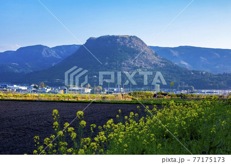 大分県玖珠町　伐株山 77175173