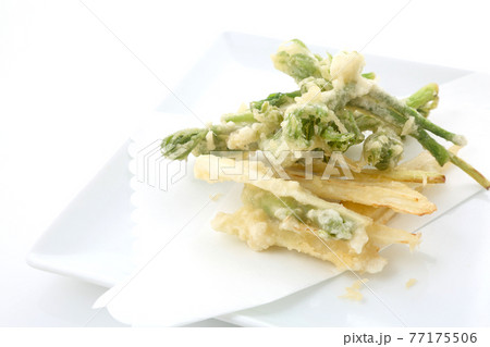 独活の天ぷら 独活の天ぷら 77175506