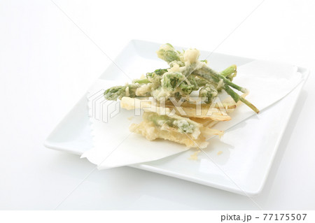 独活の天ぷら 77175507