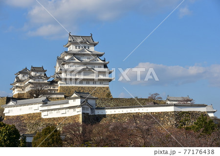 日本の兵庫県の姫路市 世界遺産で国宝でもある姫路城 春の桜と青空と立派な天守閣 日本の兵庫県の姫路市 世界遺産で国宝でもある姫路城 春の桜と青空と立派な天守閣 77176438