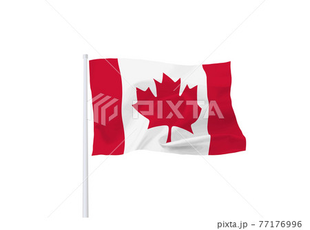 カナダとアメリカの旗 カナダとアメリカの旗 77176996