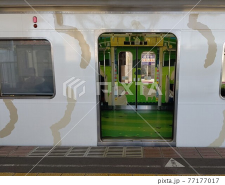 こどもの国線　横浜市緑区長津田駅－青葉区こどもの国駅間を走る　単線電車　ひつじ電車　横浜高速鉄道 77177017