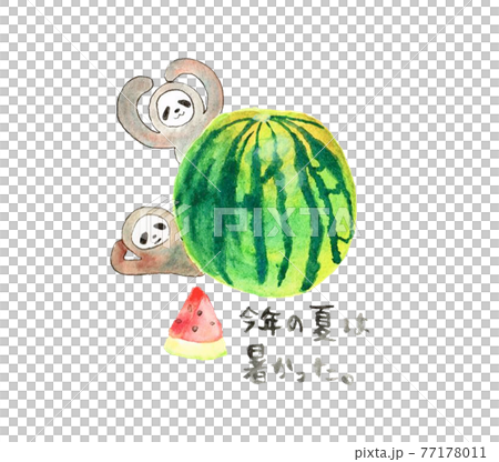 Watermelon, sloth and summer greetings Watermelon, sloth and summer greetings 77178011