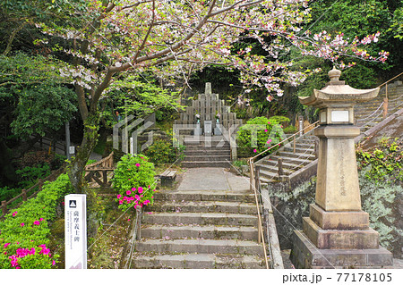 鹿児島市の薩摩義士碑の空撮 77178105