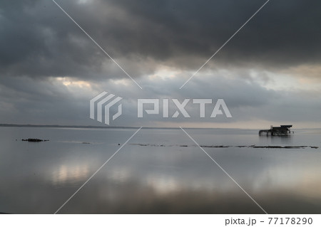 早朝の霞ヶ浦風景 77178290