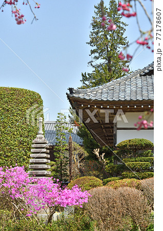 秩父 長瀞散歩:法善寺 長瀞七草寺霊場 秩父 長瀞散歩:法善寺 長瀞七草寺霊場 77178607