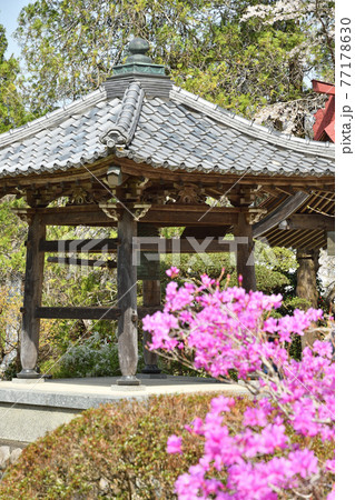 秩父 長瀞散歩:法善寺 長瀞七草寺霊場 秩父 長瀞散歩:法善寺 長瀞七草寺霊場 77178630