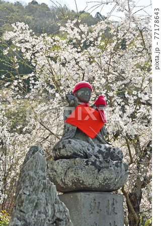 秩父 長瀞散歩：法善寺　長瀞七草寺霊場 77178643