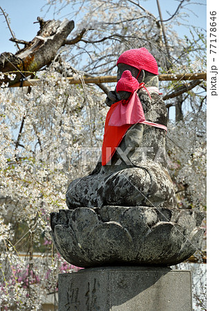 秩父 長瀞散歩：法善寺　長瀞七草寺霊場 77178646