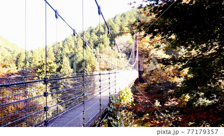 岐阜の多良峡 岐阜の多良峡 77179357