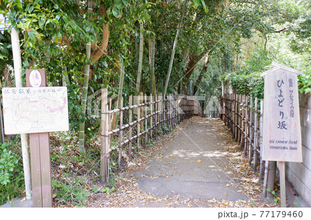 佐倉の古径　ひよどり坂 77179460