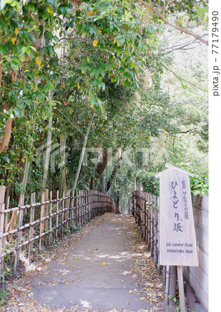 佐倉の古径　ひよどり坂 77179490