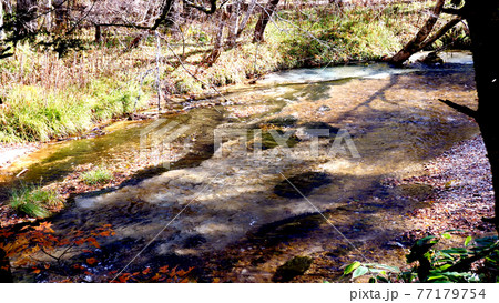 上高地の岳沢湿原と紅葉 77179754