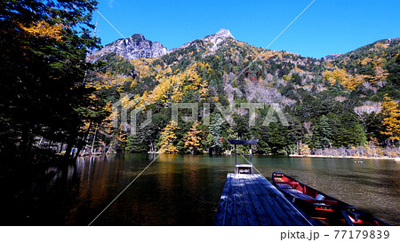 上高地の明神一之池の紅葉 77179839