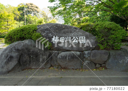 柿田川公園<静岡県駿東郡清水町> 柿田川公園<静岡県駿東郡清水町> 77180022