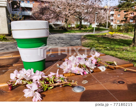 Reusable Eco Coffee Cup on Table, Spring Sakura Cherry Blossom Concept, Close Up Reusable Eco Coffee Cup on Table, Spring Sakura Cherry Blossom Concept, Close Up 77180215