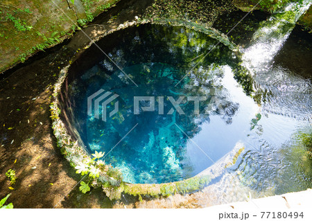 柿田川湧水<静岡県駿東郡清水町＞ 77180494