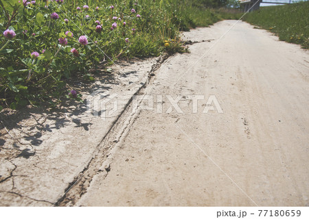 自転車の轍 自転車の轍 77180659