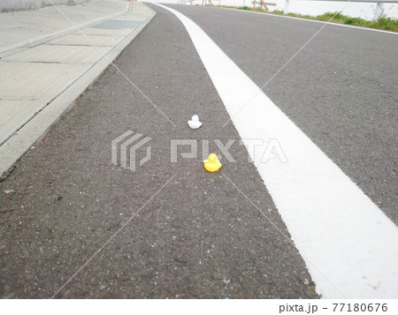 アヒルと道路② 77180676