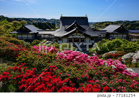 俱利伽羅不動寺のツツジ 77181254