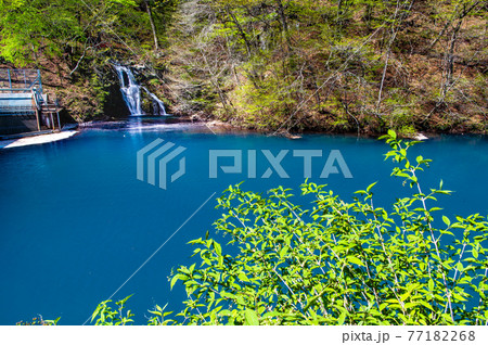 群馬県 四万川にそそぐ桃太郎の滝 77182268