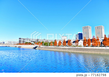 境川越しに新浦安駅方面を望む(千葉県浦安市)【2020.12】 境川越しに新浦安駅方面を望む(千葉県浦安市)【2020.12】 77182798