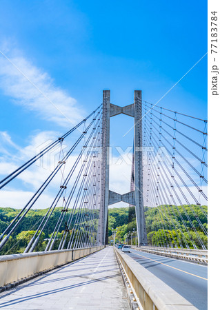 埼玉秩父の都市風景 秩父公園橋(秩父ハープ橋)のある風景 77183784
