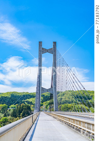 埼玉秩父の都市風景 秩父公園橋(秩父ハープ橋)のある風景 77183792