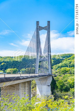 埼玉秩父の都市風景 秩父公園橋(秩父ハープ橋)のある風景 77183794