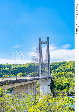 埼玉秩父の都市風景 秩父公園橋(秩父ハープ橋)のある風景 77183795