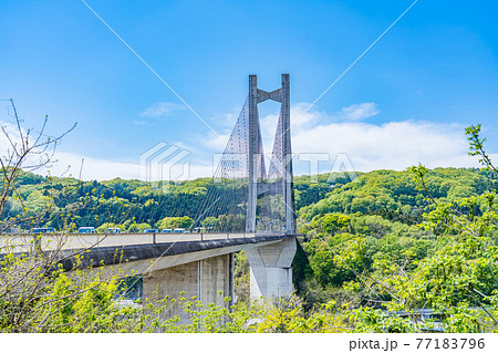埼玉秩父の都市風景 秩父公園橋(秩父ハープ橋)のある風景 77183796