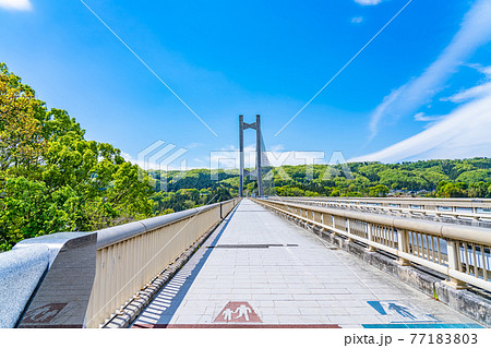埼玉秩父の都市風景 秩父公園橋(秩父ハープ橋)のある風景 77183803