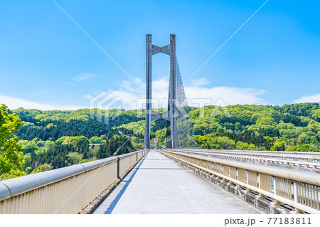 埼玉秩父の都市風景 秩父公園橋(秩父ハープ橋)のある風景 77183811