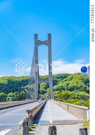 埼玉秩父の都市風景 秩父公園橋(秩父ハープ橋)のある風景 77183813