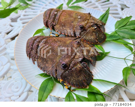 幻のエビ　草履エビ　美味　阿久根市　鹿児島県 77184034