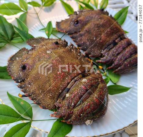 幻のエビ 草履エビ 美味 阿久根市 鹿児島県 幻のエビ 草履エビ 美味 阿久根市 鹿児島県 77184037