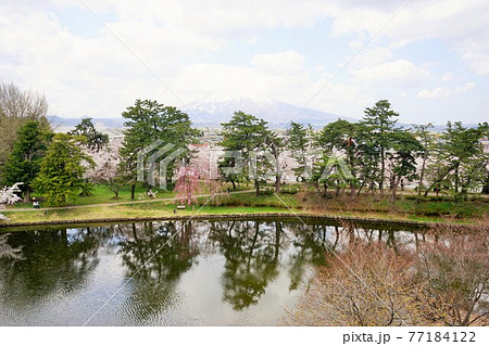 桜の名所 弘前公園 桜の名所 弘前公園 77184122