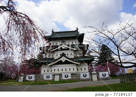 桜の名所 弘前公園 桜の名所 弘前公園 77184137
