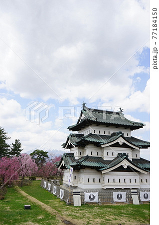 桜の名所 弘前公園 桜の名所 弘前公園 77184150