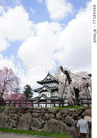 桜の名所　弘前公園 77184168