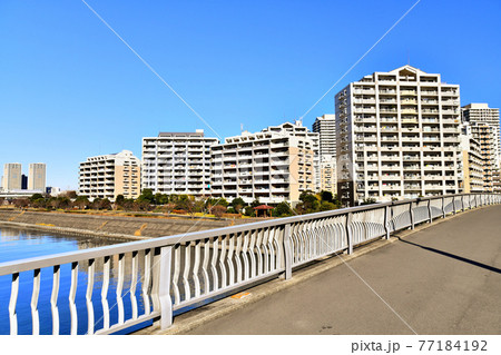 明海橋／境川より高洲橋、明海の丘公園、海園の街周辺を望む(千葉県浦安市)【2020.12】 77184192