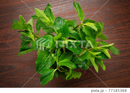 モヒート用のミント、イエルバブエナ 77185368