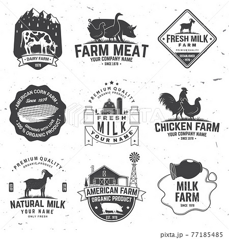 American Farm Badge or Label. Vector. Vintage typography design with chicken, pig, cow and farm house silhouette. Elements on the theme of the milk, pork and chicken farm business. 77185485