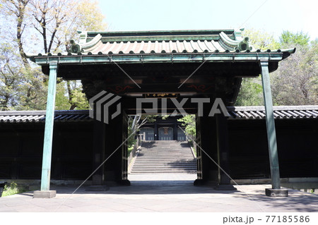 湯島聖堂 東京都 千代田区 湯島聖堂 東京都 千代田区 77185586