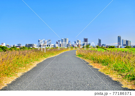 赤羽ゴルフ倶楽部付近より荒川越しに川口駅方面を望む【2020.11】 77186371