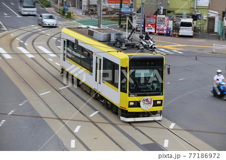 都営荒川線 路面電車 8900型 都営荒川線 路面電車 8900型 77186972